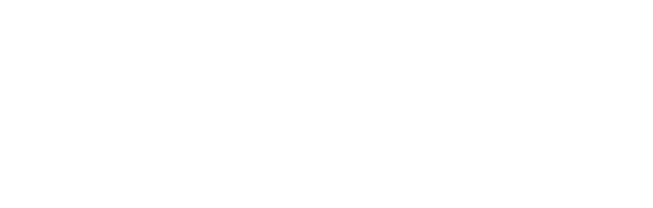 WAE Logo White